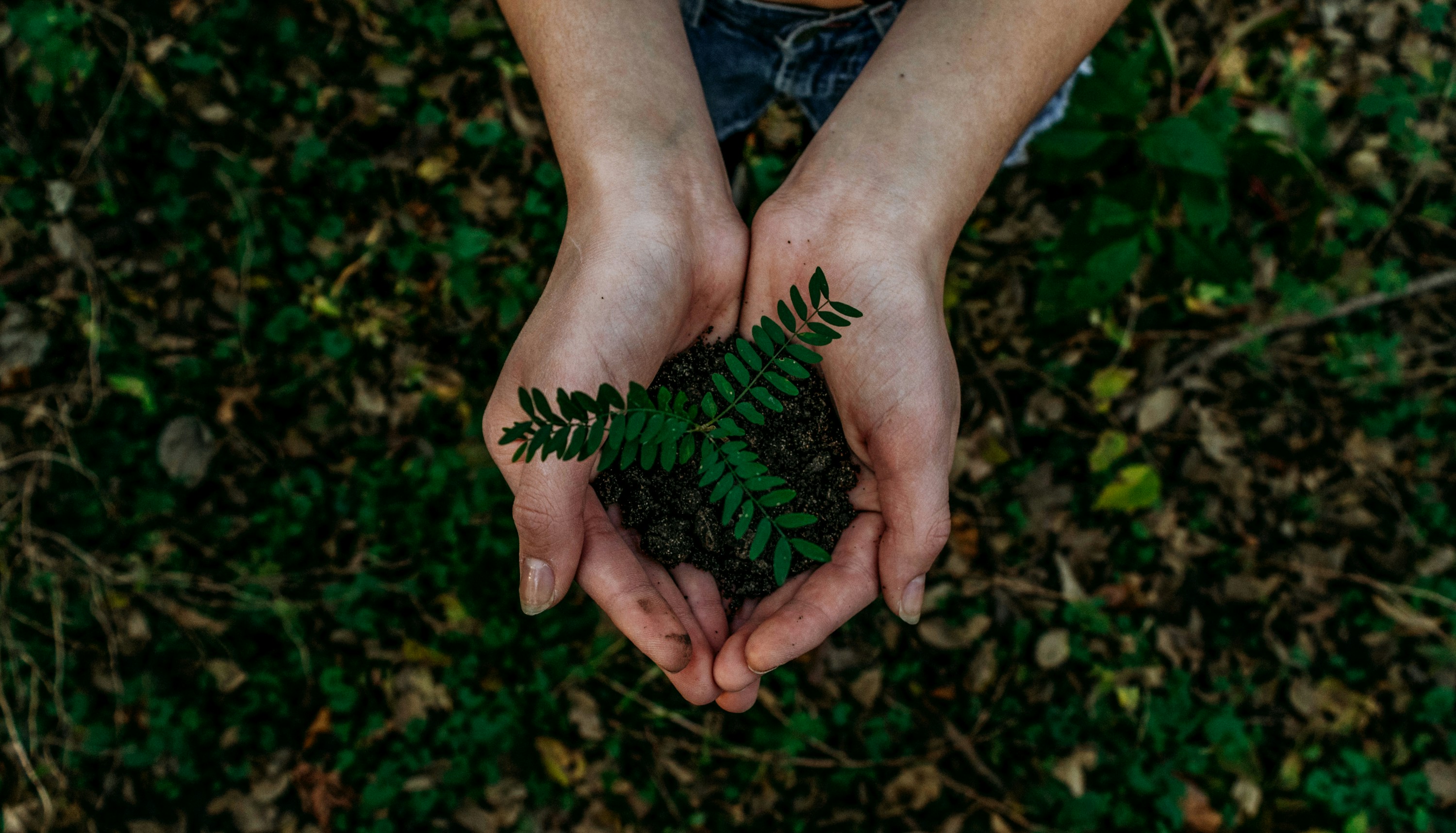 SATYA environmental conservation initiative